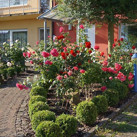 Ferienhaus Schloss-Garten Kapellen-Drusweiler Bagian luar foto