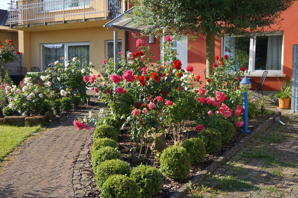 Ferienhaus Schloss-Garten Kapellen-Drusweiler Bagian luar foto